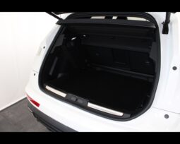 DS – DS7 ETENSE  Business pieno